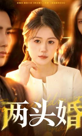 短剧《两头婚》海报