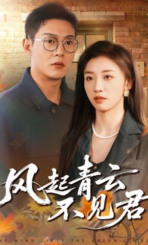 短剧《风起青云不见君》海报