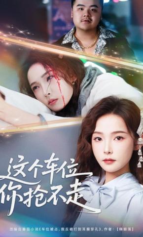 短剧《这个车位你抢不走》海报