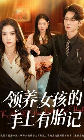 短剧《领养女孩的手上有胎记》海报