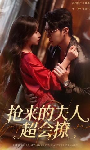 短剧《抢来的夫人超会撩》海报