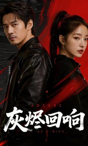 短剧《灰烬回响》海报