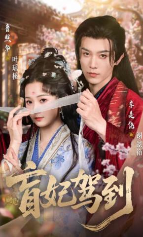 短剧《盲妃驾到》海报