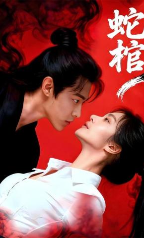 短剧《蛇棺》海报