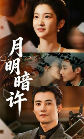 短剧《月明暗许》海报