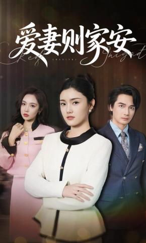 短剧《爱妻则家安》海报