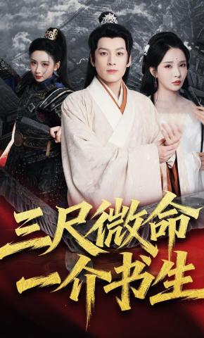 短剧《三尺微命一介书生》海报