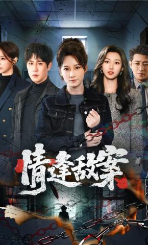 短剧《情逢敌案》海报