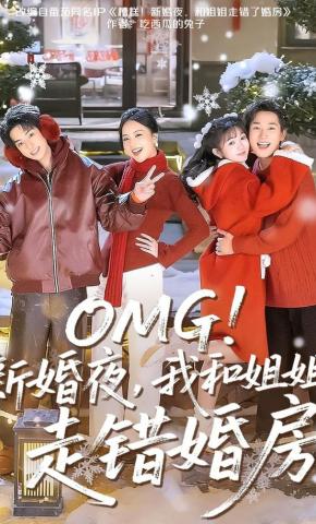 短剧《OMG！新婚夜，我和姐姐走错婚房》海报