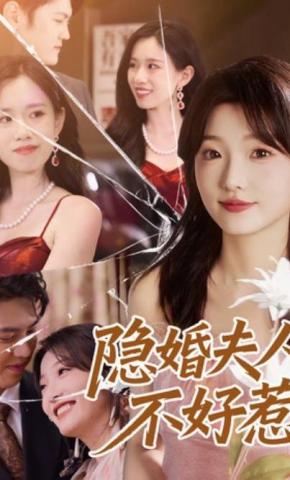 短剧隐婚夫人不好惹海报