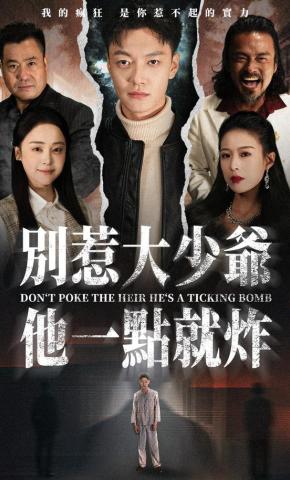 短剧别惹大少爷他一点就炸海报