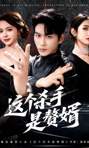 短剧《这个杀手是赘婿》海报