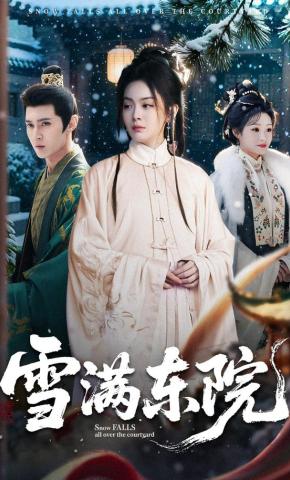 短剧《雪满东院》海报
