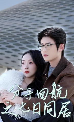 短剧《分手回航之七日同居》海报