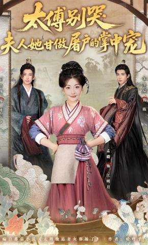 短剧《太傅别哭，夫人她甘做屠户的掌中宠》海报