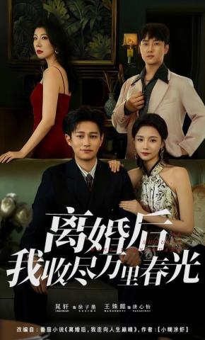 短剧离婚后我收尽万里春光海报