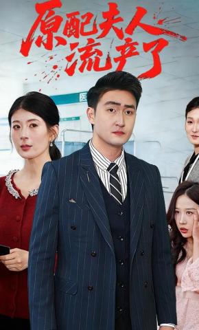 短剧《原配夫人流产了》海报