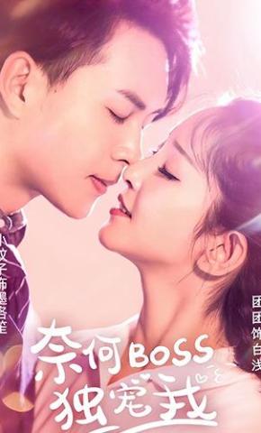 短剧《奈何boss独宠我》海报
