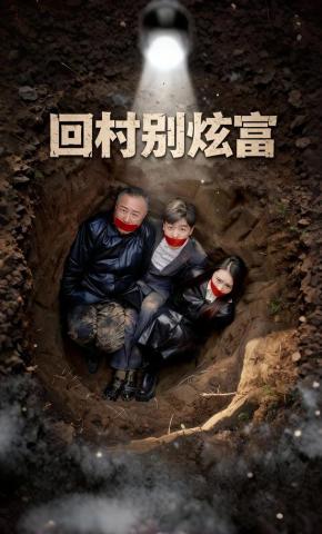 短剧回村别炫富海报