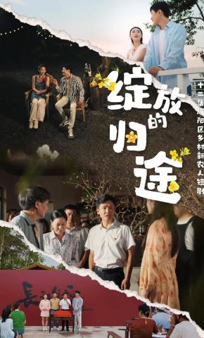 短剧《绽放的归途》海报