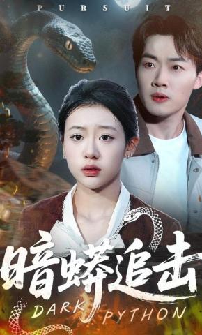 短剧《暗蟒追击》海报