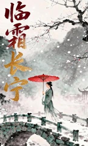 短剧《临霜长宁》海报