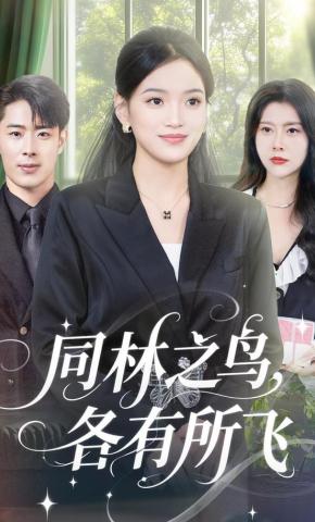 短剧同林之鸟，各有所飞海报