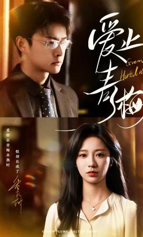 短剧《爱止青梅》海报