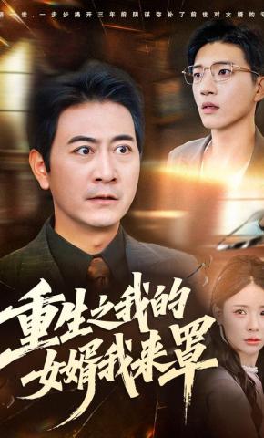 短剧《重生之我的女婿我来罩》海报