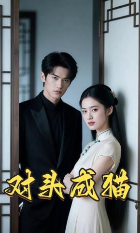 短剧《对头成猫》海报
