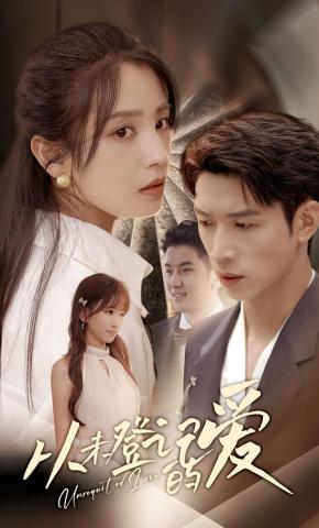 短剧《从未登记的爱》海报