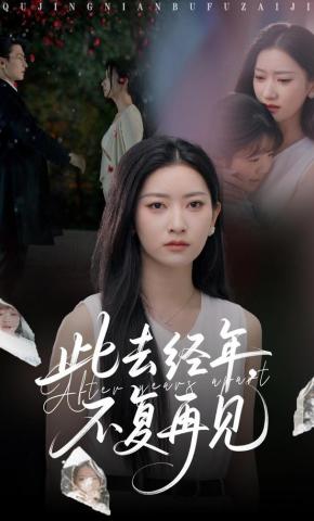 短剧《此去经年，不复再见》海报