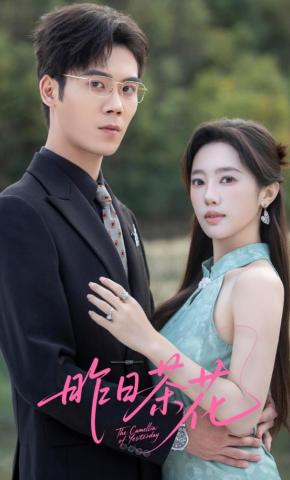 短剧昨日茶花海报