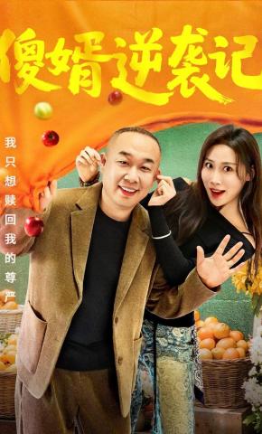 短剧傻婿逆袭记海报