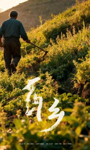 短剧《药乡》海报