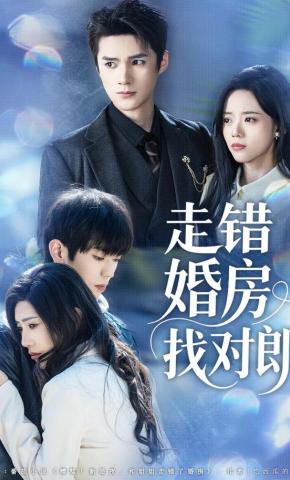 短剧《走错婚房找对郎》海报