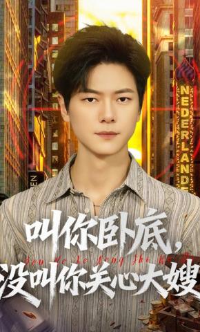 短剧《叫你卧底，没叫你关心大嫂》海报