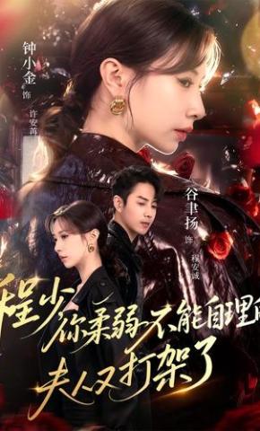 短剧《程少，你柔弱不能自理的夫人又打架了》海报