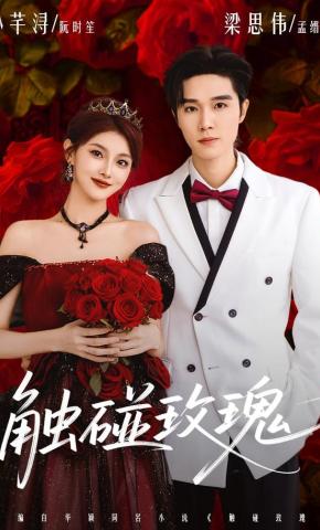 短剧《触碰玫瑰》海报