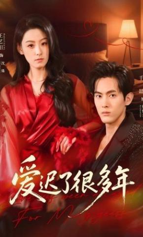 短剧《爱迟了很多年》海报