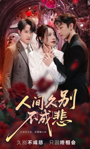短剧《人间久别不成悲》海报