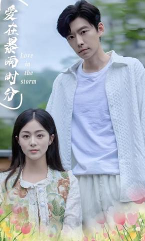 短剧《爱在暴雨时分》海报