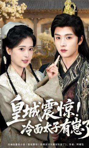 短剧《皇城震惊！冷面太子有崽了》海报