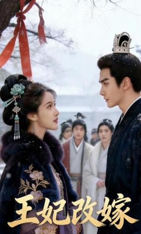 短剧《王妃改嫁》海报