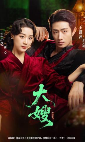 短剧《大嫂：烽火佳人》海报