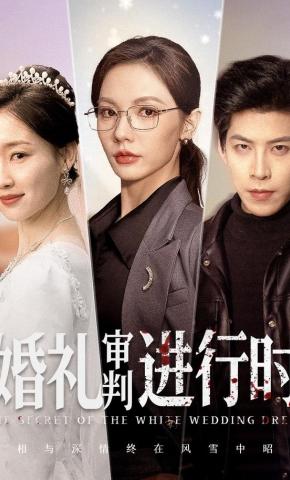 短剧婚礼审判进行时海报