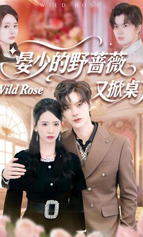 短剧《晏少的野蔷薇又掀桌了》海报