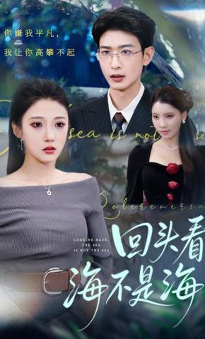 短剧《回头看海不是海》海报