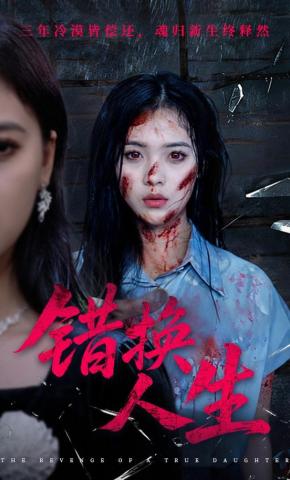 短剧错换人生海报