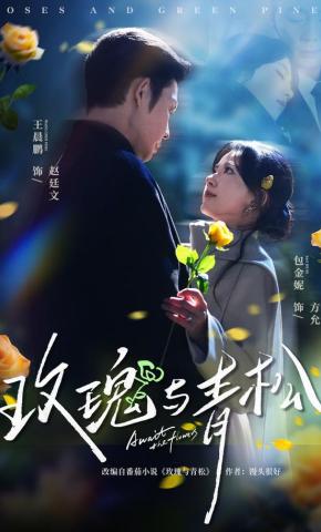 短剧玫瑰与青松海报